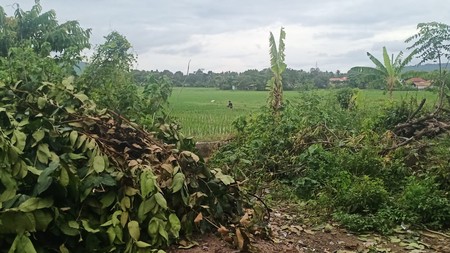 Dijual Tanah Tanjung Manis Mekarsari Serang