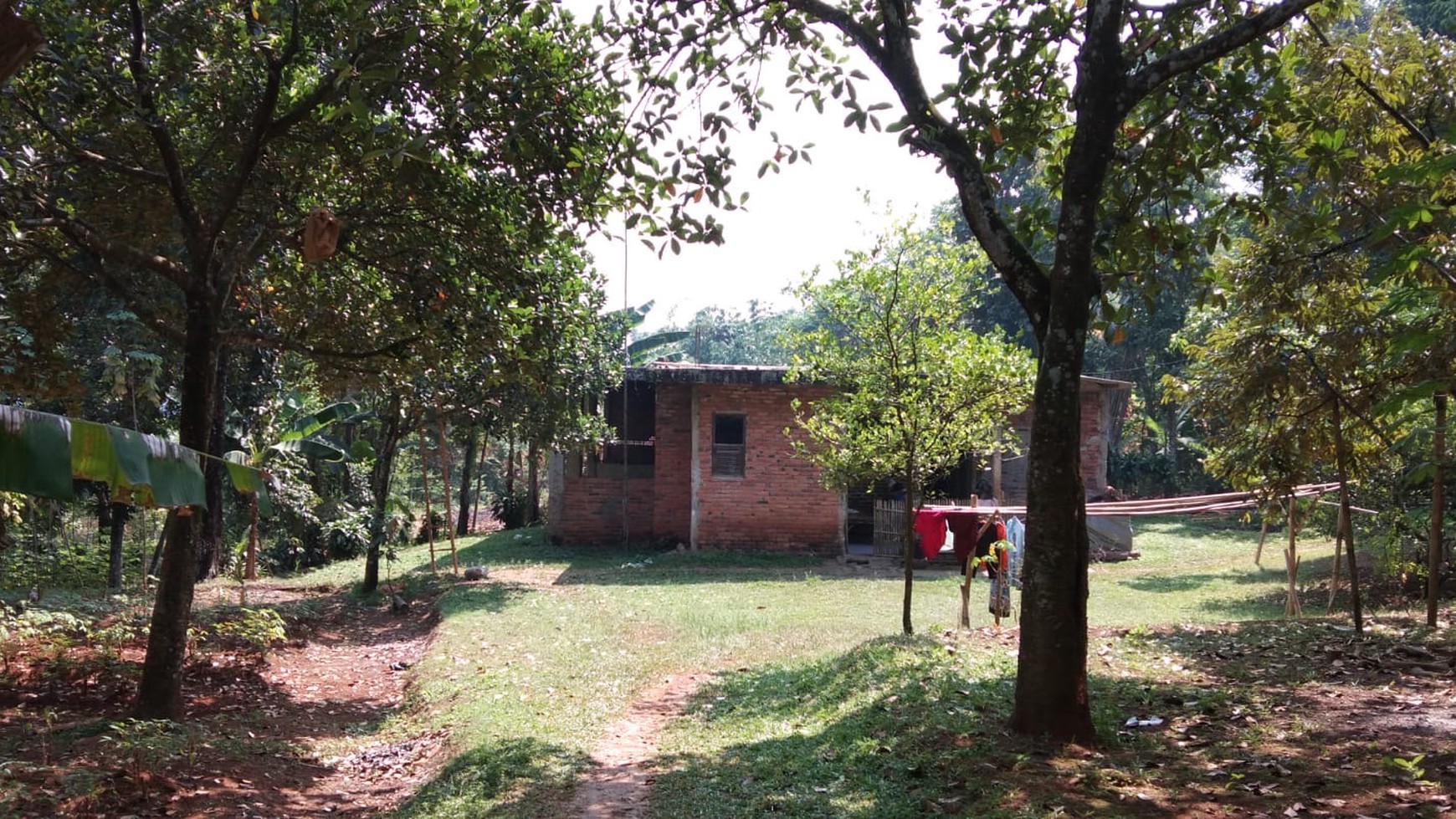 Tanah Kebun Luas Menghasilkan Bonus Rumah di Cibungbulang Kab. Bogor