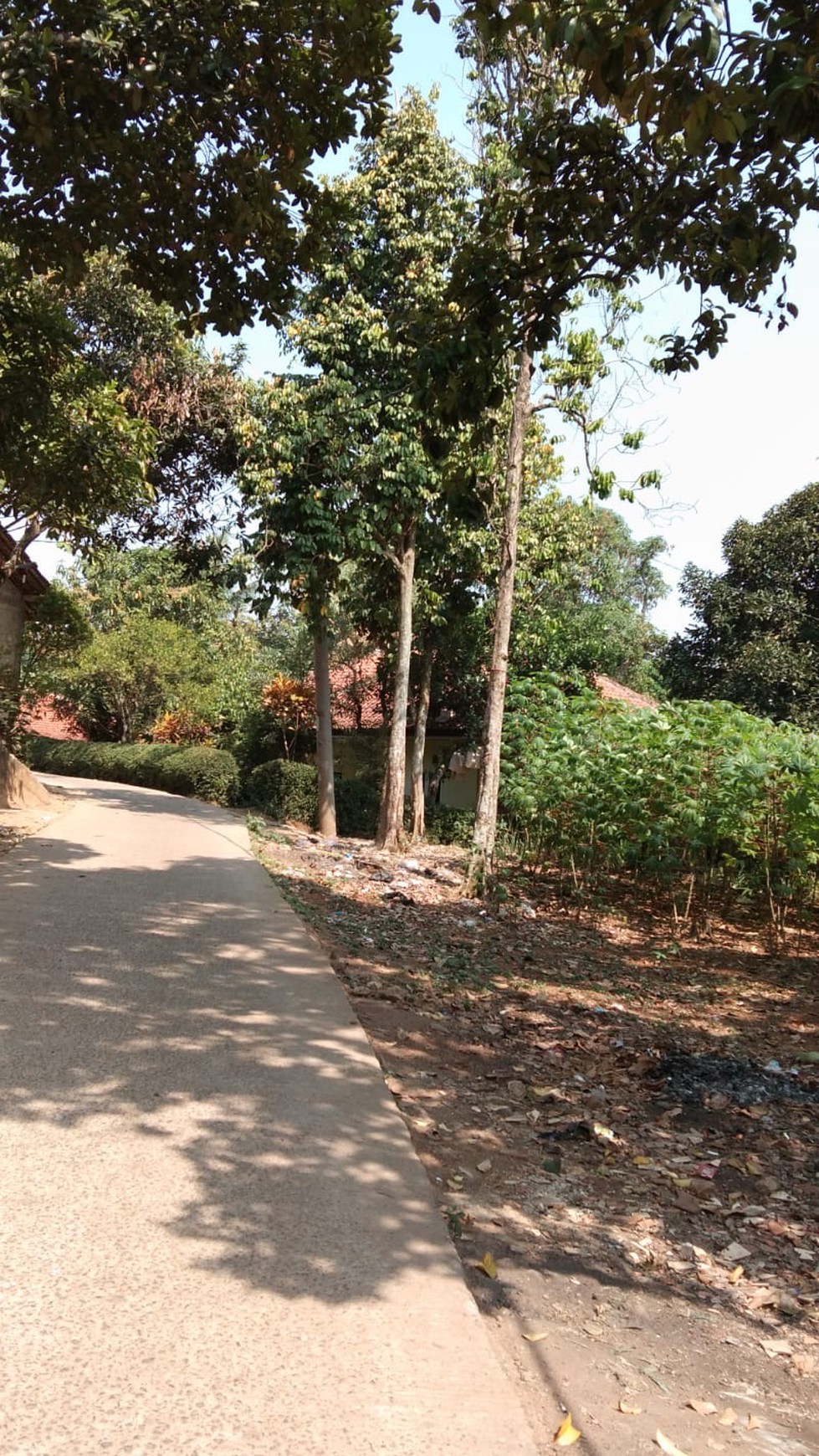 Tanah Kebun Luas Menghasilkan Bonus Rumah di Cibungbulang Kab. Bogor