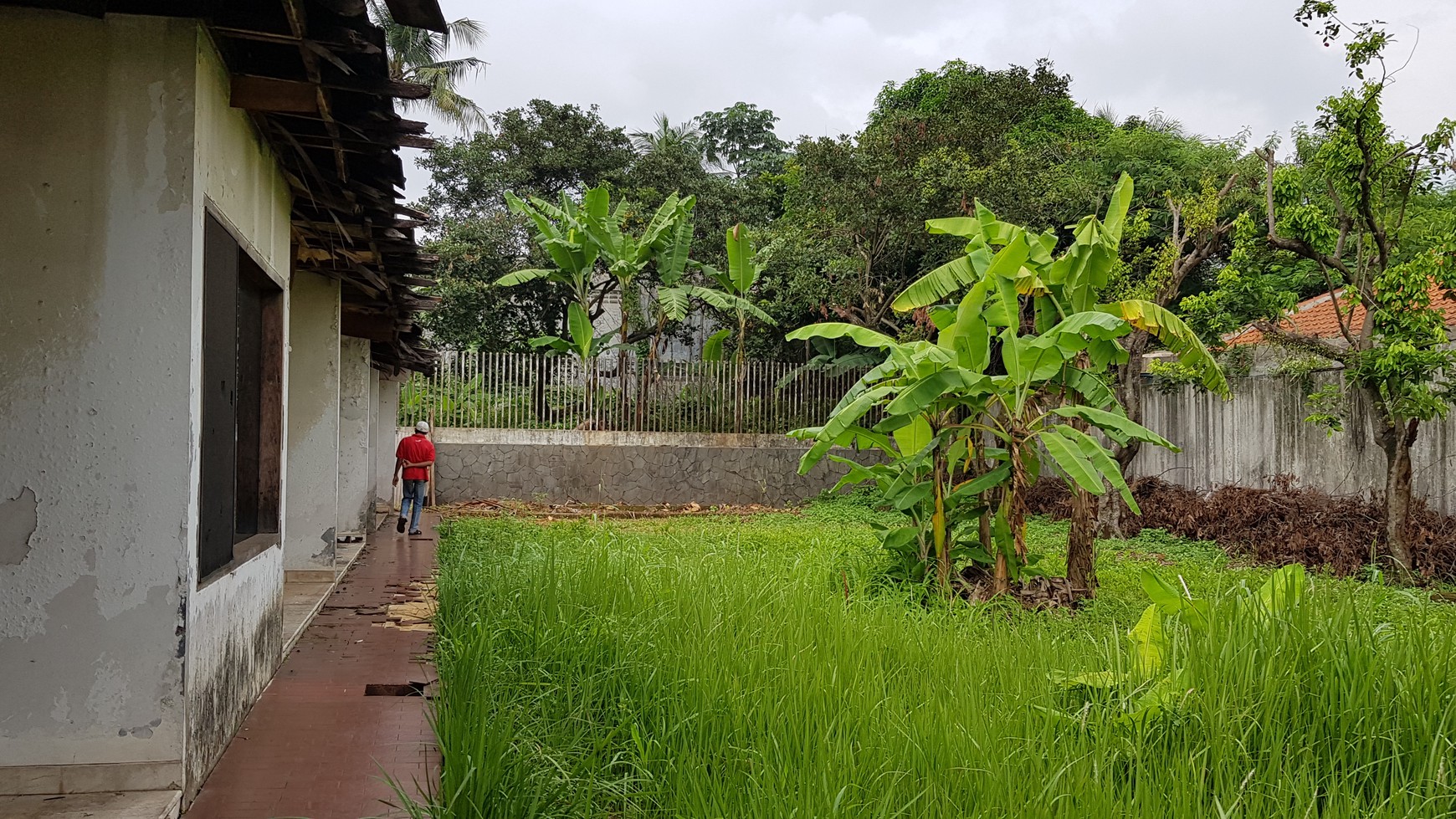 Rumah tua hitung tanah cocok di bangun untuk developer rumah area kebayoran lama.