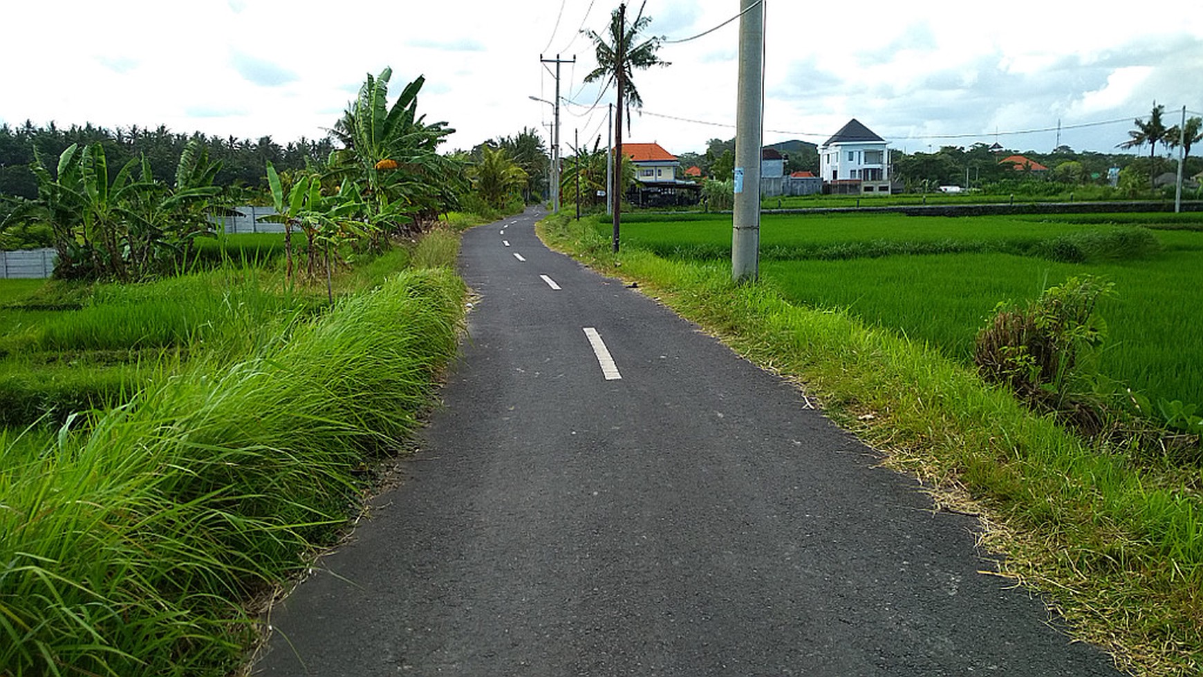 Freehold Land Close To Komune Beach Club Walking Distance To The Beach Bali