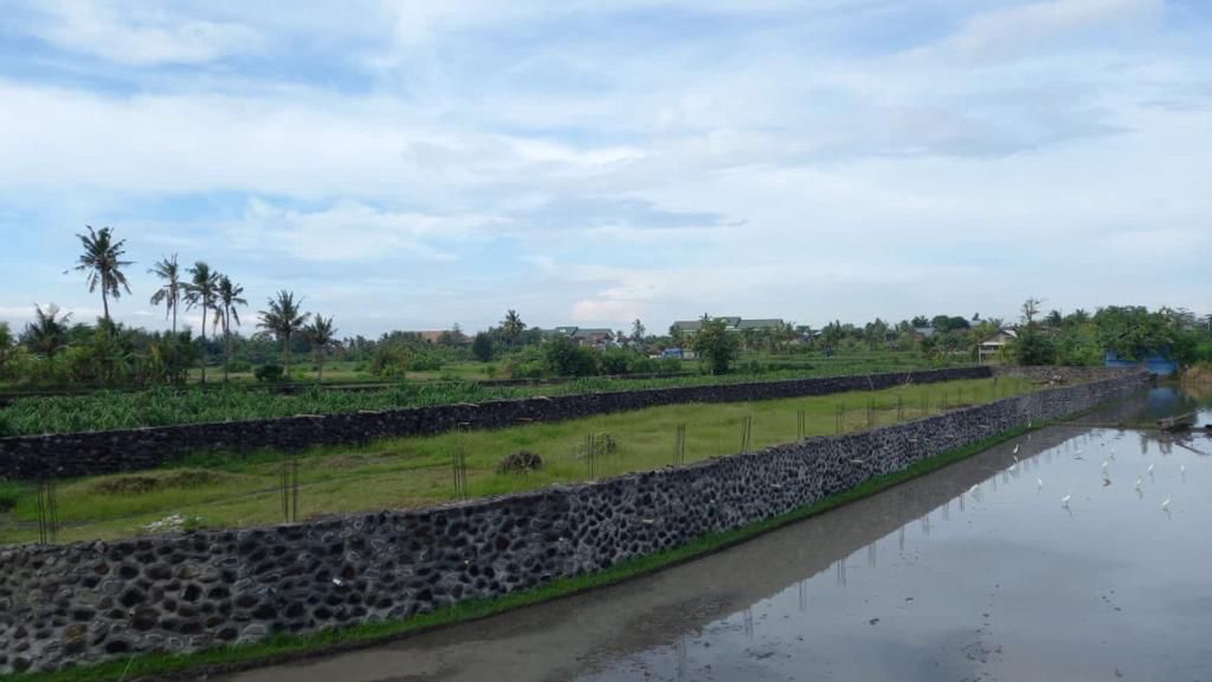 Freehold Land Close To Komune Beach Club Walking Distance To The Beach Bali