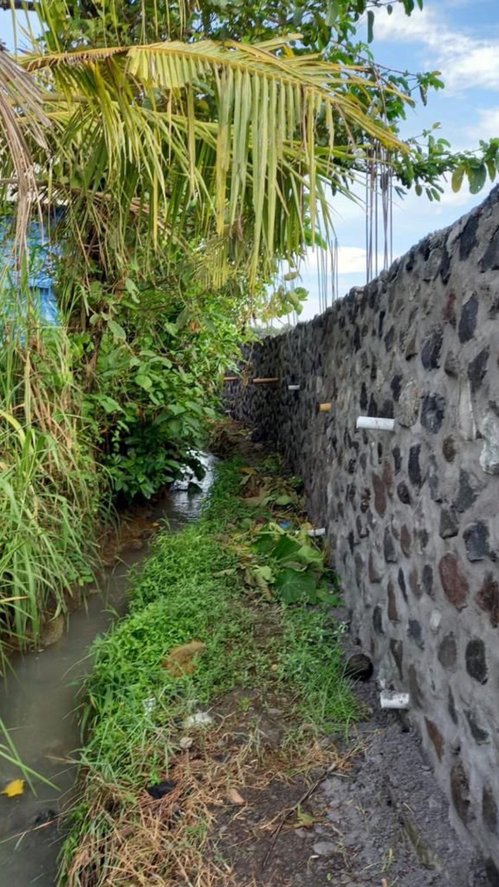 Freehold Land Close To Komune Beach Club Walking Distance To The Beach Bali