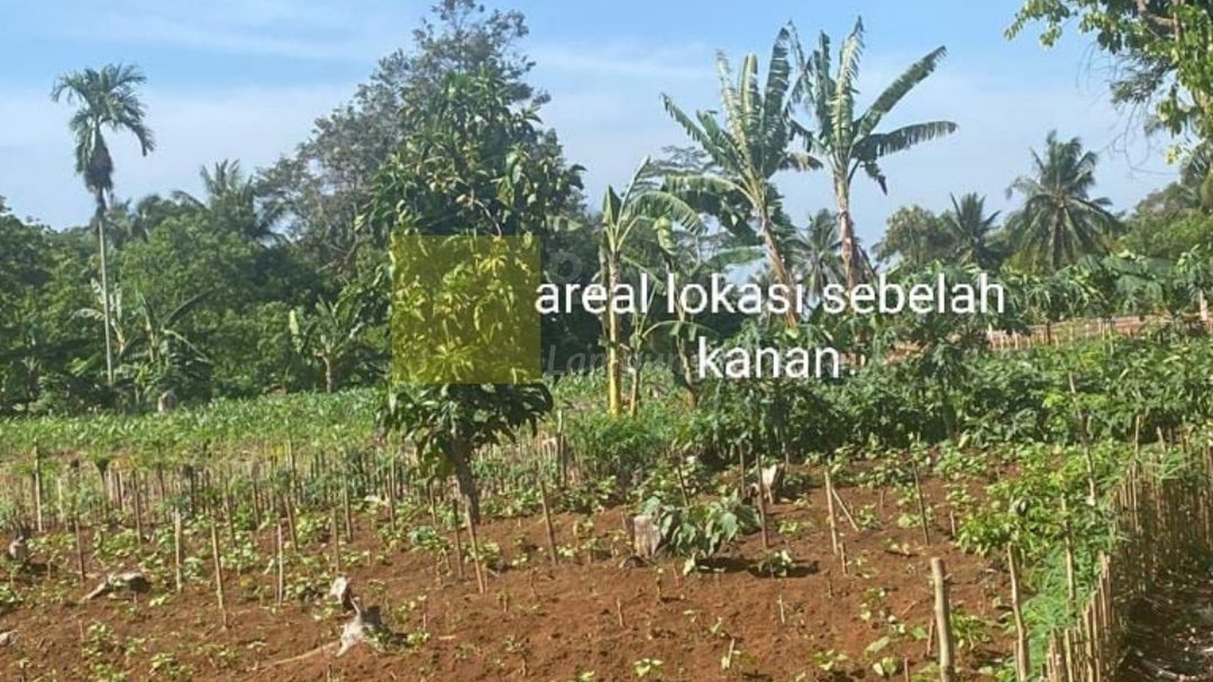 Dijual Cepat tanah murah lokasi katibung lampung selatan untuk Gudang