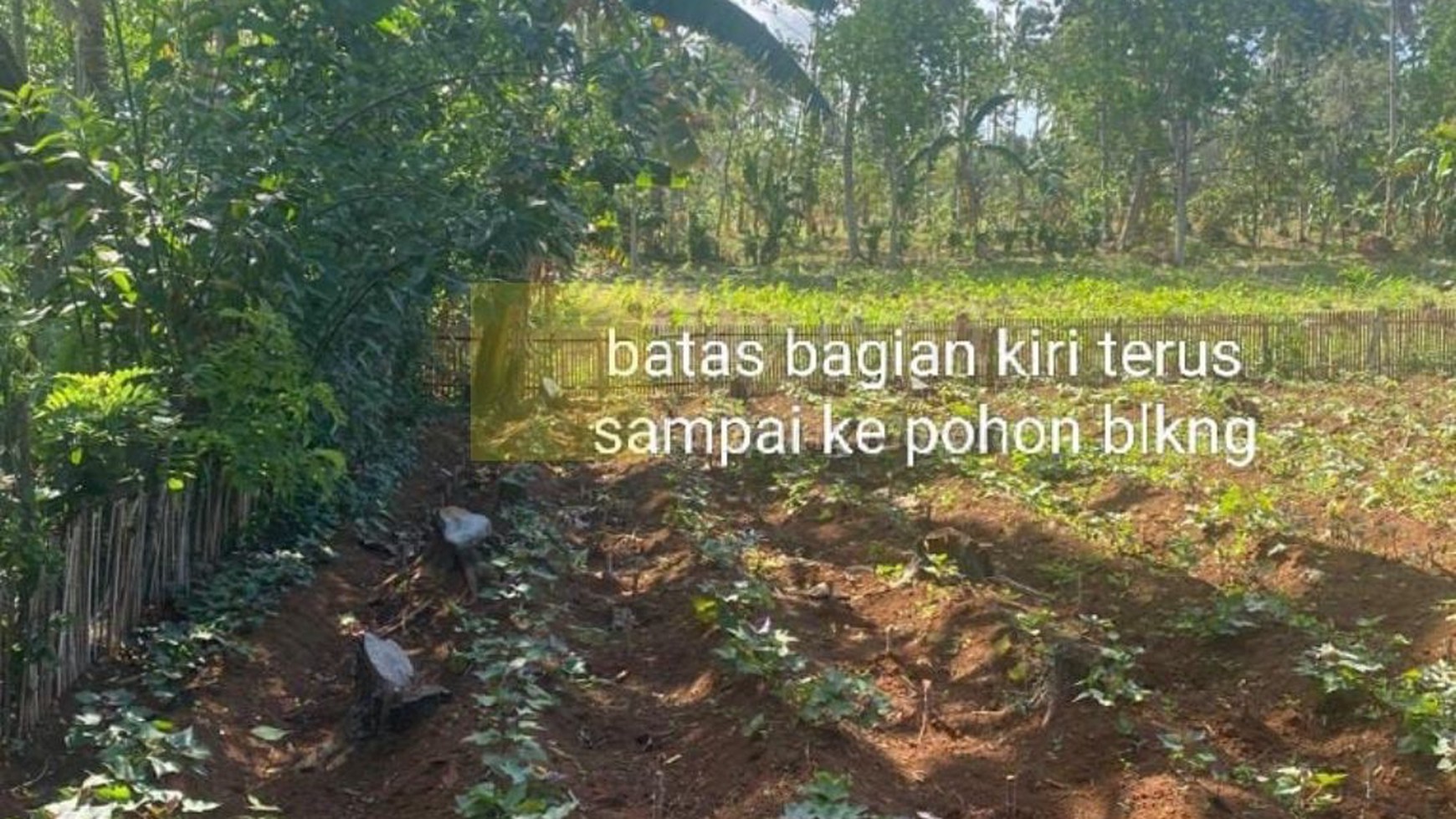 Dijual Cepat tanah murah lokasi katibung lampung selatan untuk Gudang