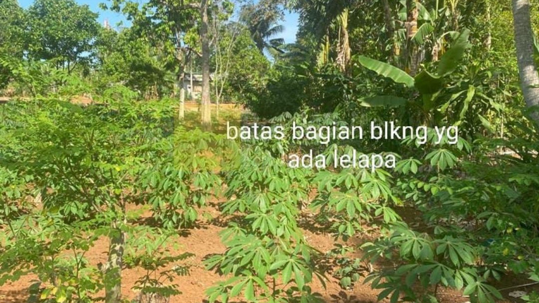 Dijual Cepat tanah murah lokasi katibung lampung selatan untuk Gudang