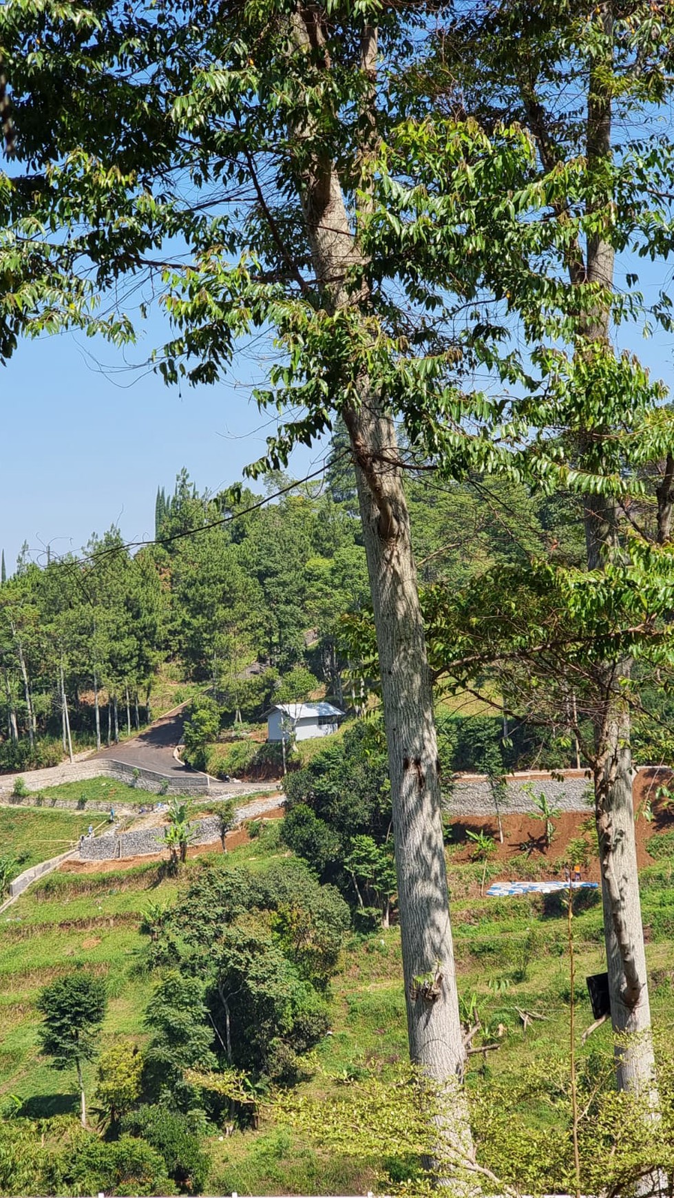 Dijual Tanah kosong 1.1Ha dengan spectaculer view di Lembang Bandung