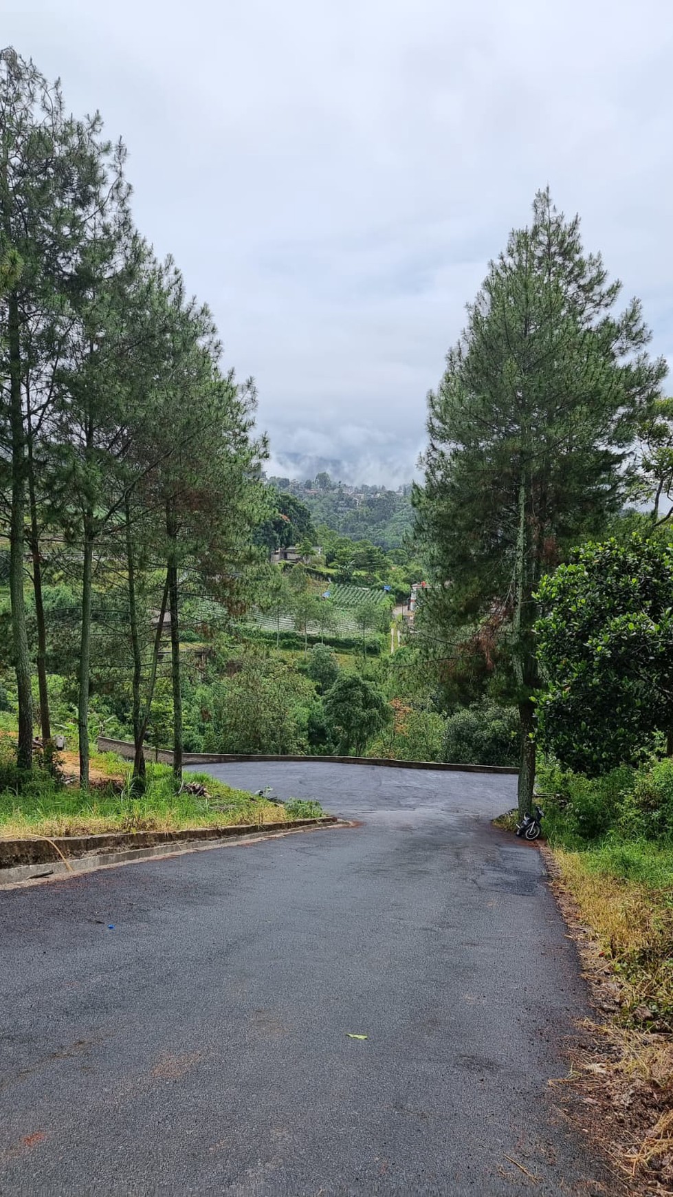 Dijual Tanah kosong 1.1Ha dengan spectaculer view di Lembang Bandung