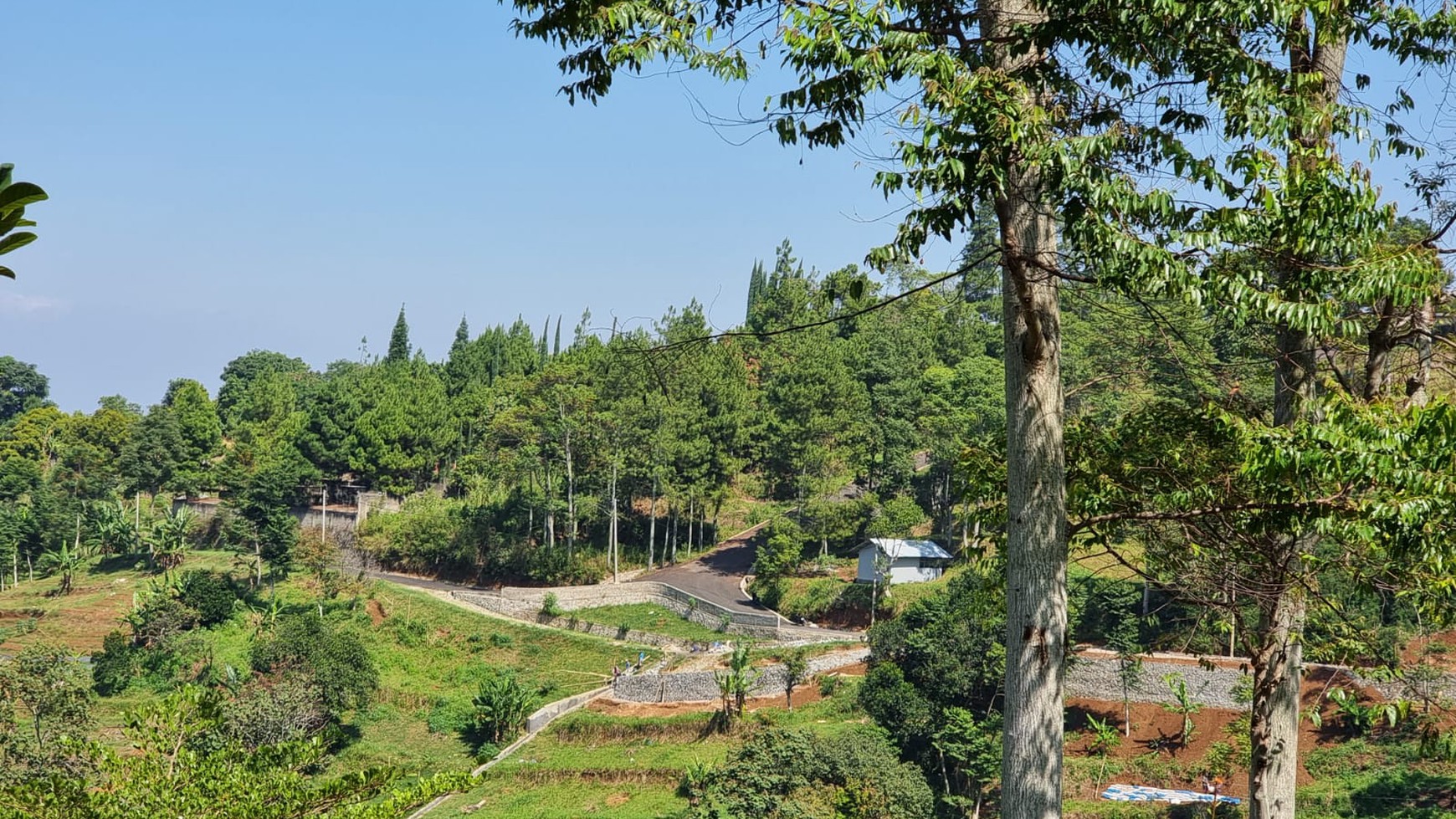 Dijual Tanah kosong 1.1Ha dengan spectaculer view di Lembang Bandung