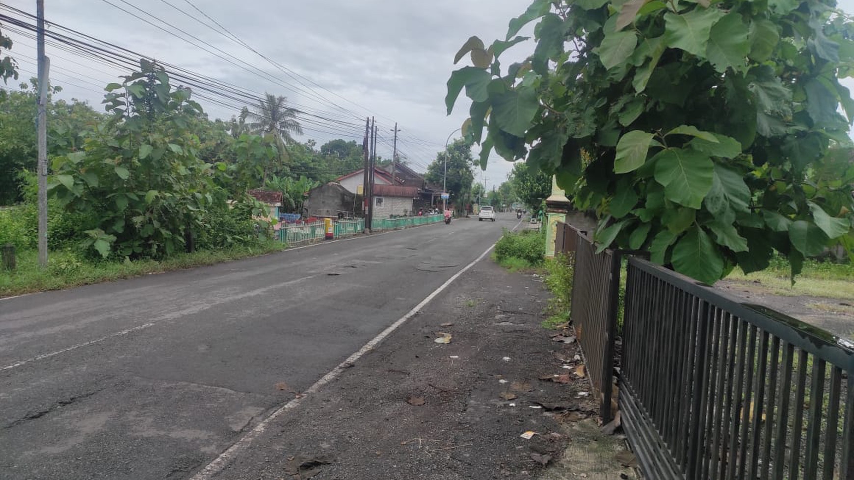 Tanah Luas 1133 Meter Persegi Lokasi Pinggir Jalan Provinsi Karangmojo Gunung Kidul 