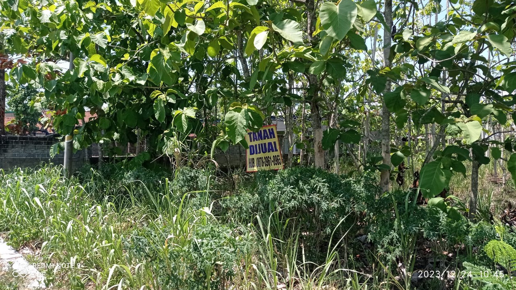 Tanah Luas 1133 Meter Persegi Lokasi Pinggir Jalan Provinsi Karangmojo Gunung Kidul 