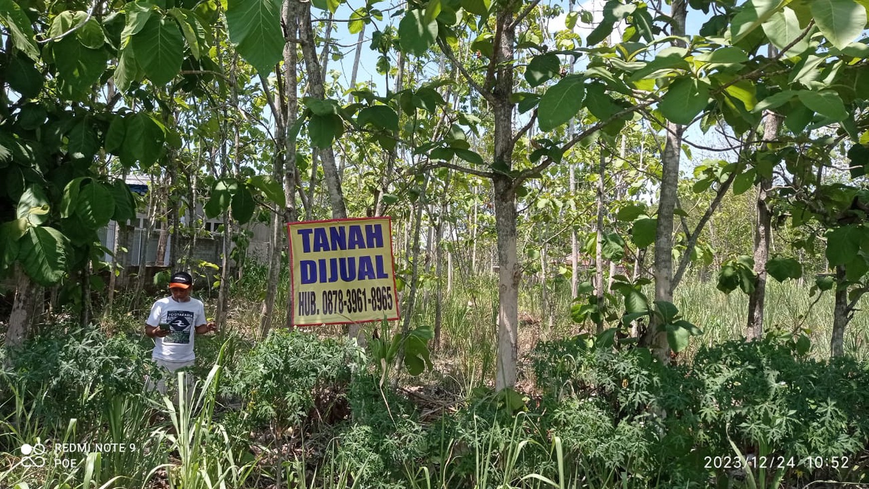 Tanah Luas 1133 Meter Persegi Lokasi Pinggir Jalan Provinsi Karangmojo Gunung Kidul 