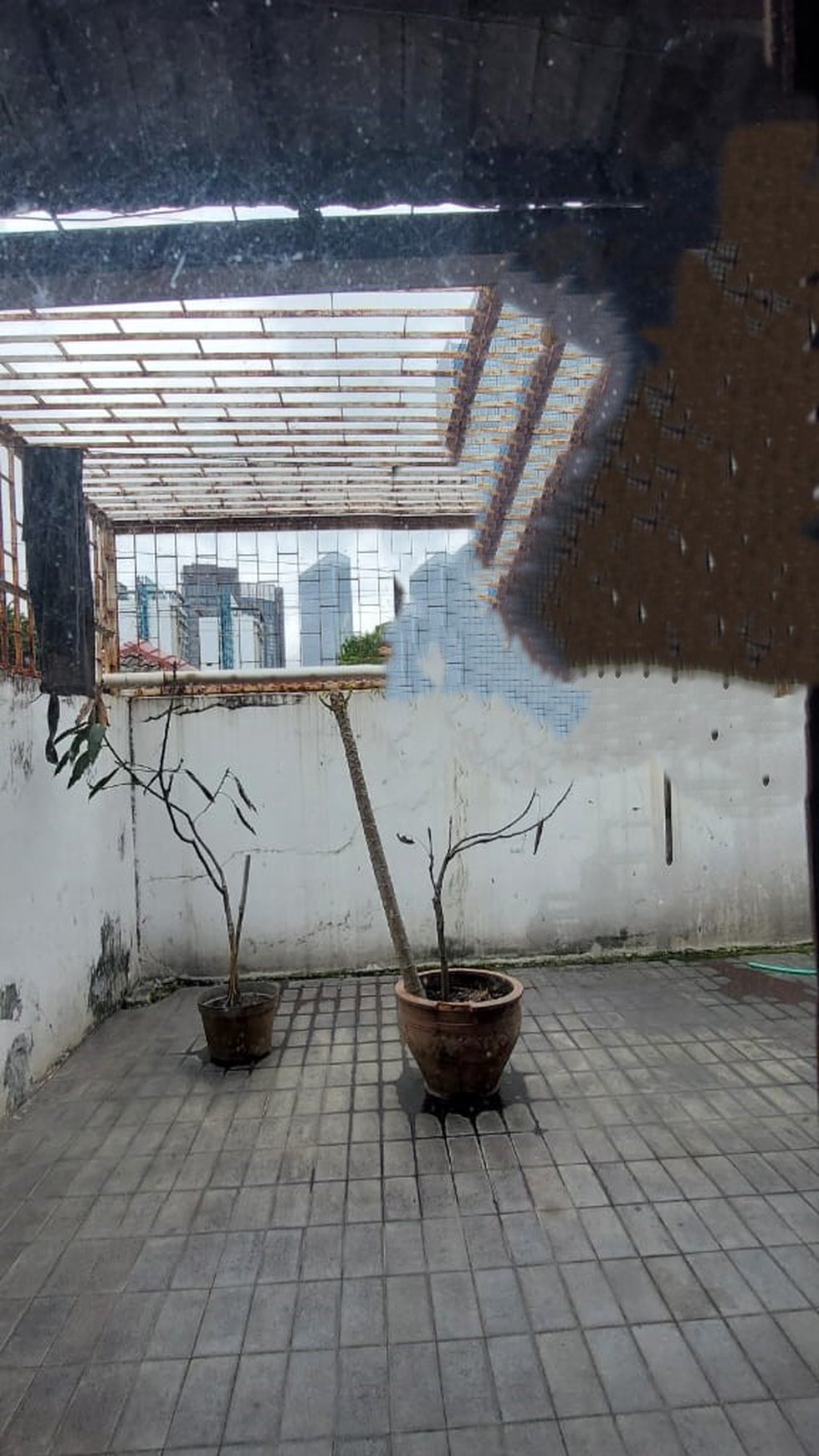 Rumah di Setia budi Jakarta selatan