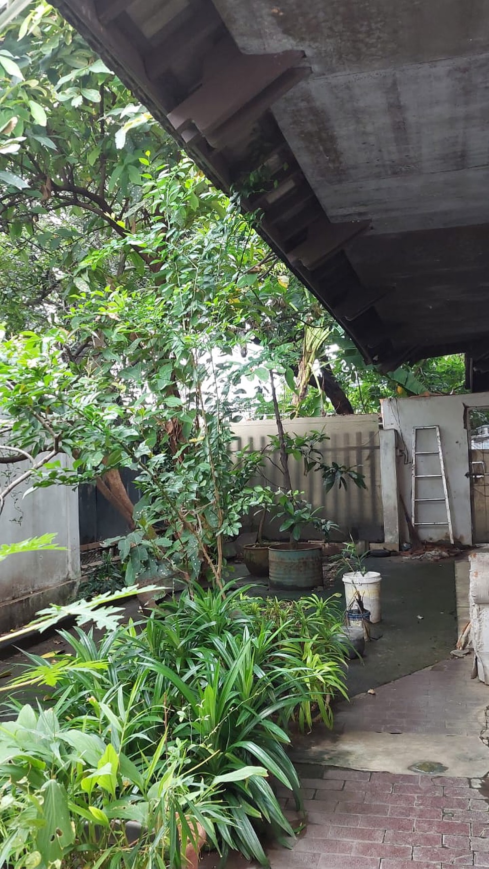 Rumah di Setia budi Jakarta selatan