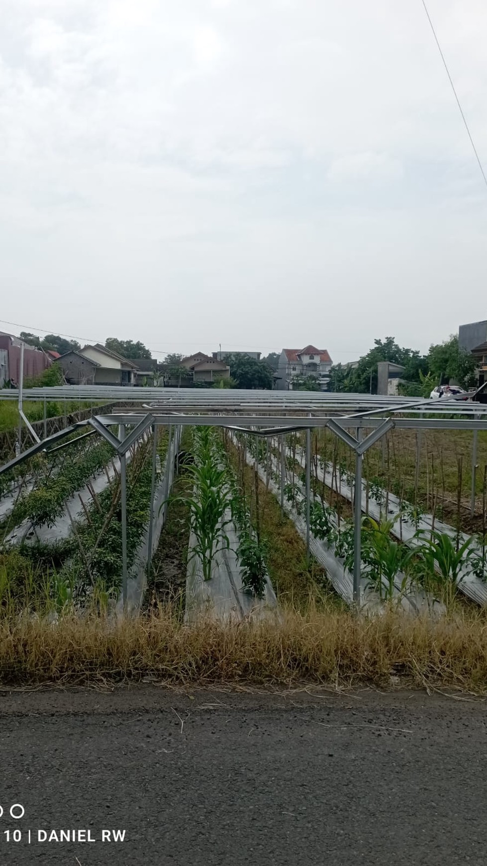 Tanah Sawah Luas 921 Meter Persegi Lokasi Maguwoharjo Depok Sleman 