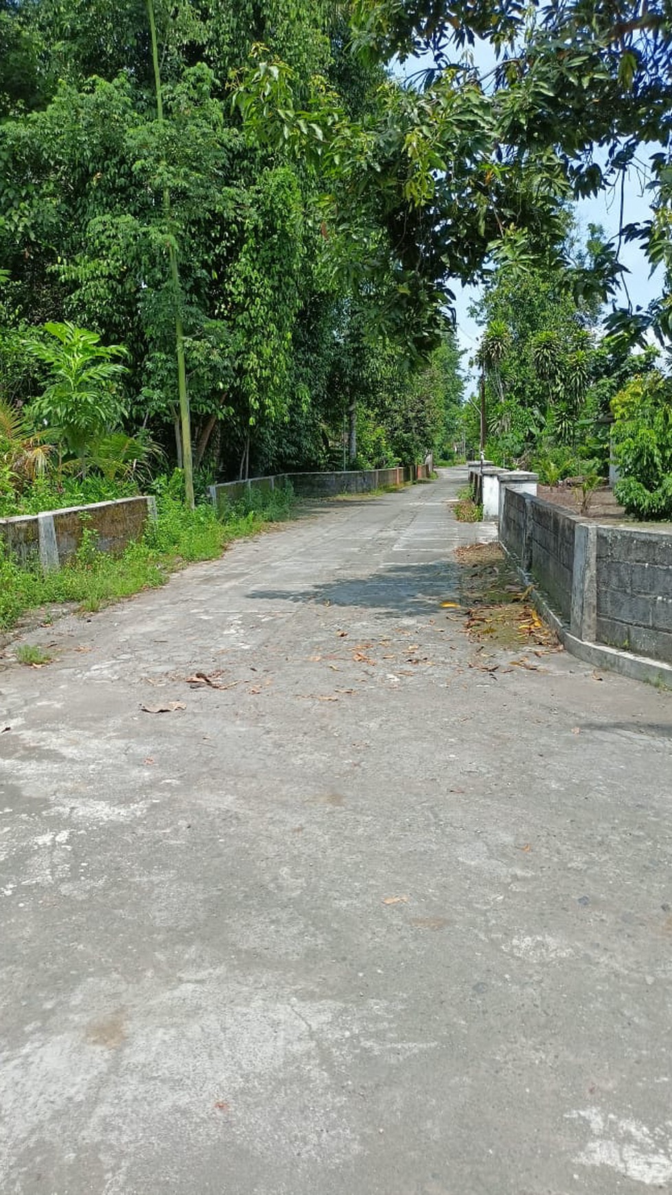 Tanah SHM Luas 1659 Meter Persegi Lokasi Dekat RS UII Bantul