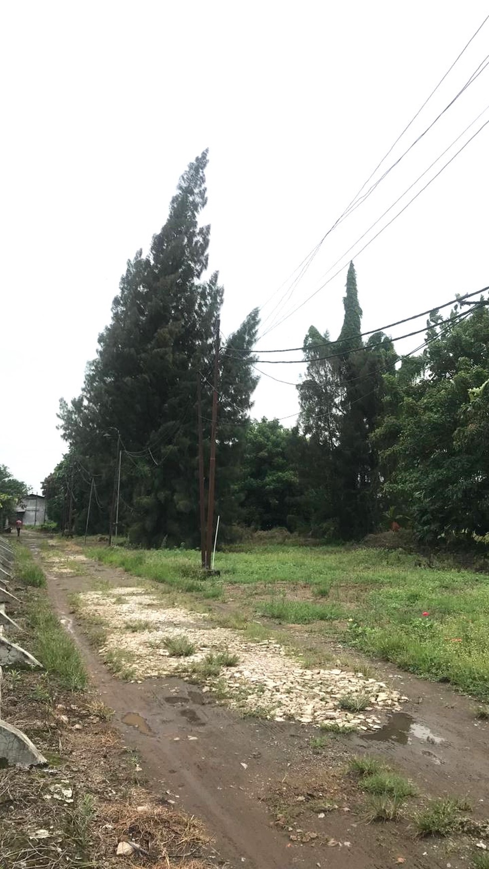 Dijual Pabrik Lokasi Bagus di Sewan, Merkarsasi. Neglasari Tangerang