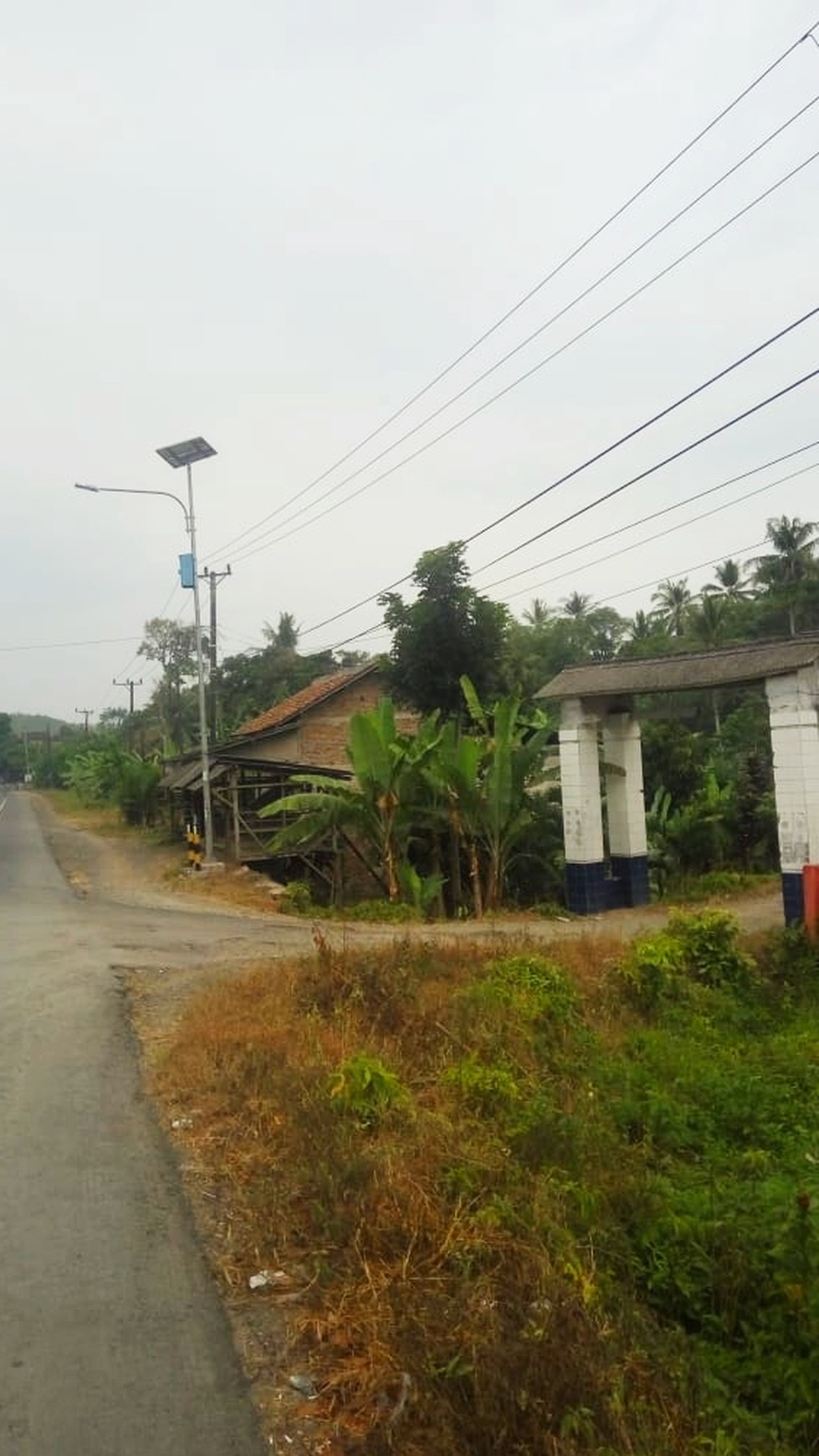 Dijual tanah pinggir jalan lintas sumaatera sidomulyo