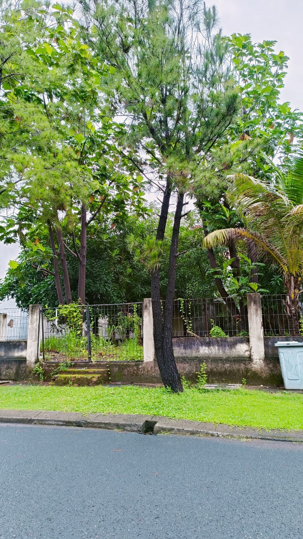 Kavling Cluster Taman Cemara Harapan Indah 