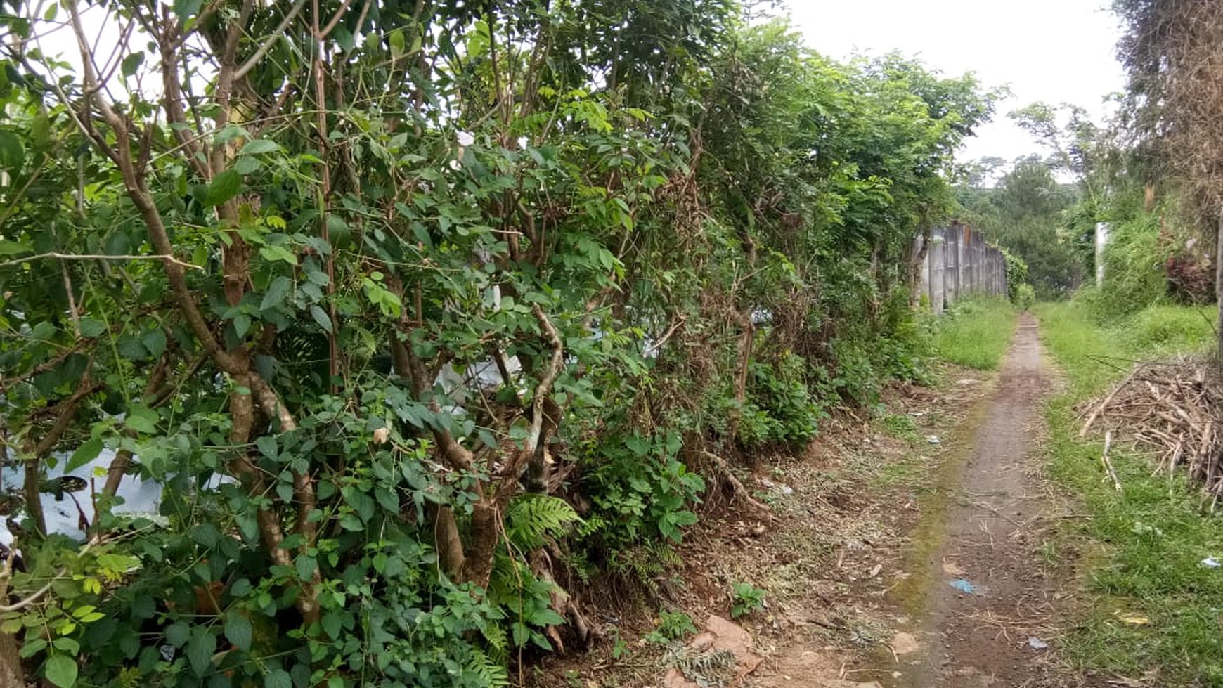 Tanah Luas Cisarua dekat Taman Safari 