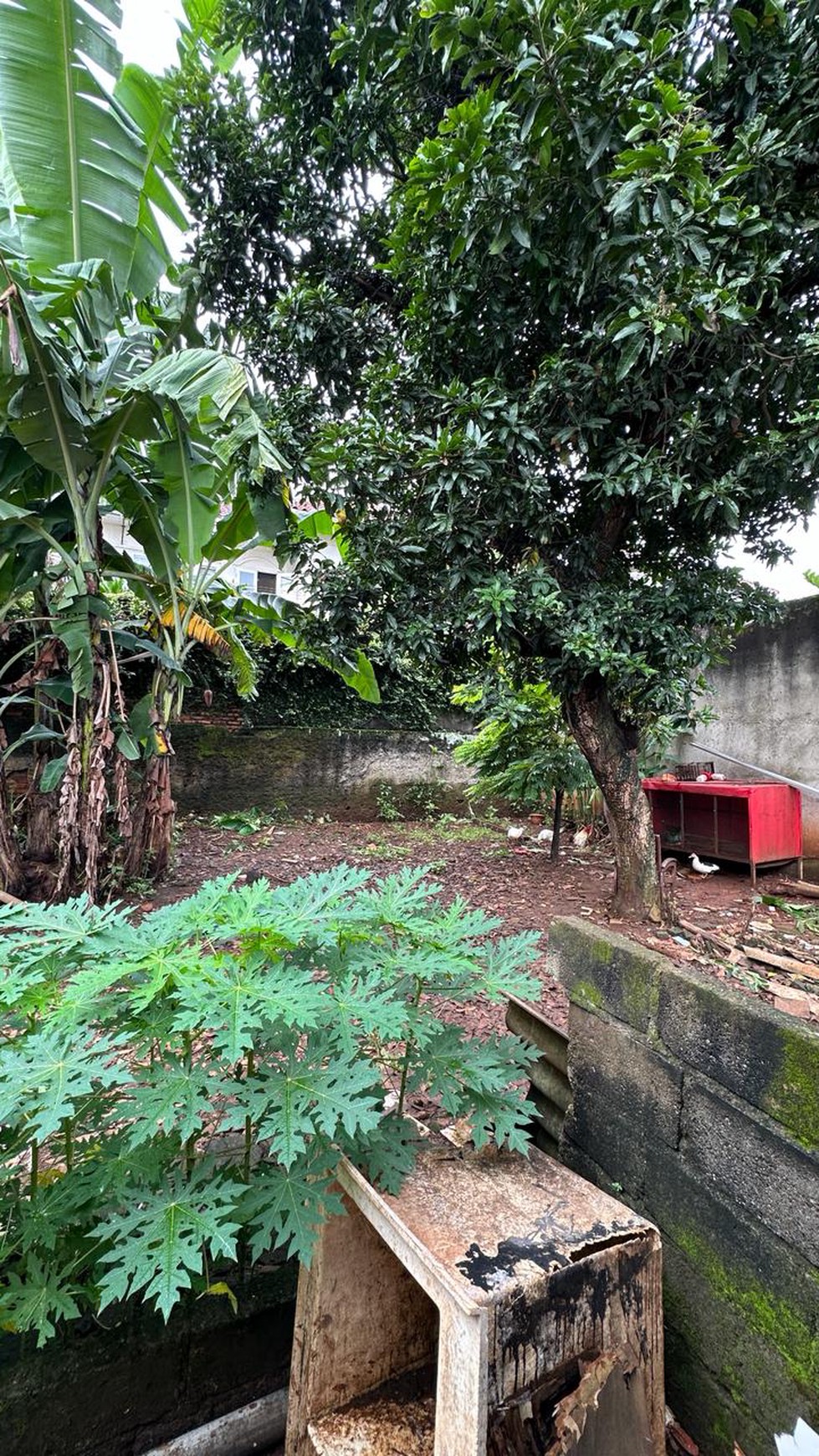 Rumah dan Bangunan hitung tanah di lokasi strategis Cilandak