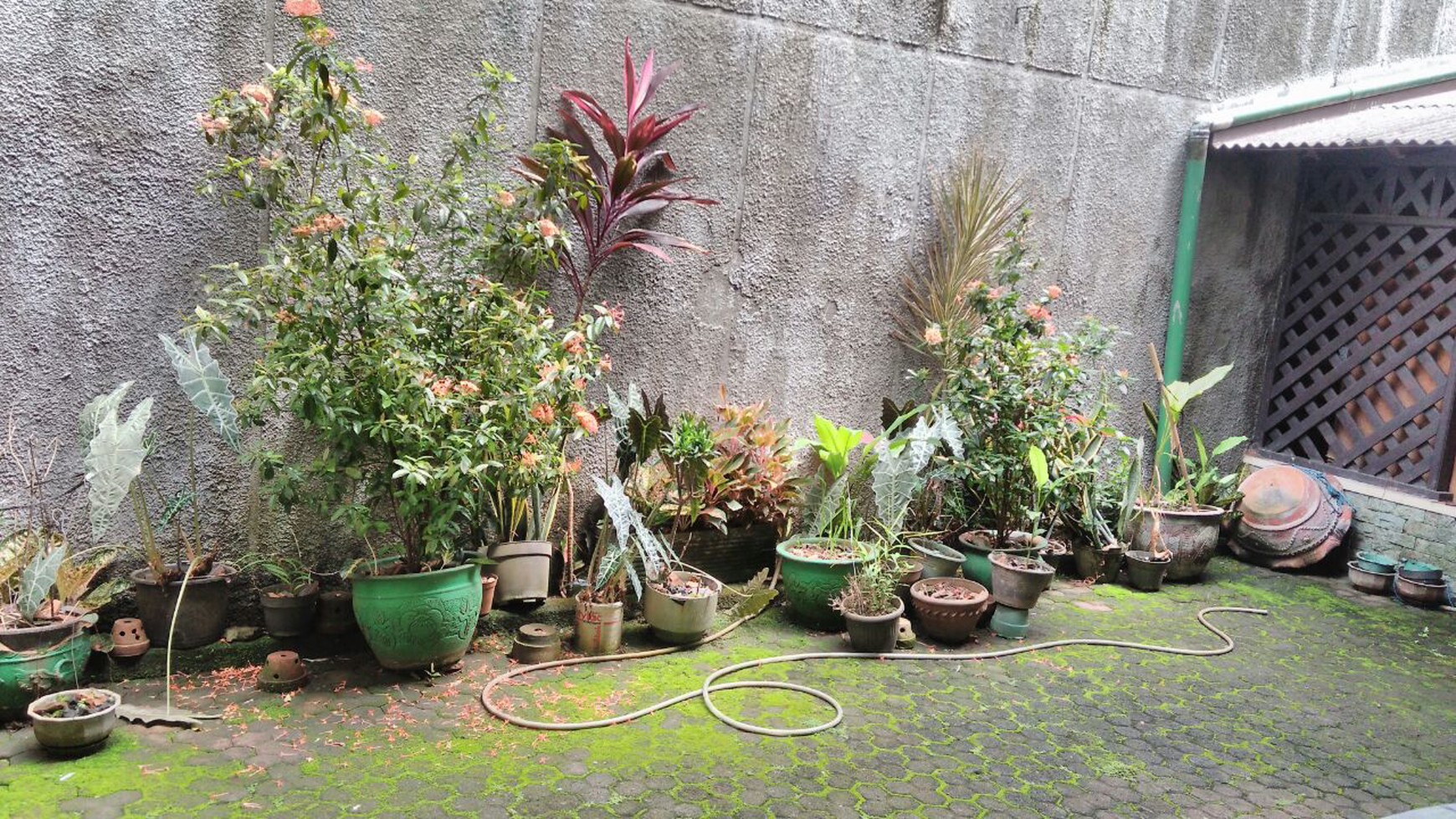 Rumah Bangunan Lama Kokoh Terawat  Tanah Kusir