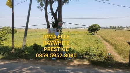 Tanah kavling cocok untuk bangun perumahan, lokasi strategis dekat dengan Summarecon Crown Gading, Bekasi