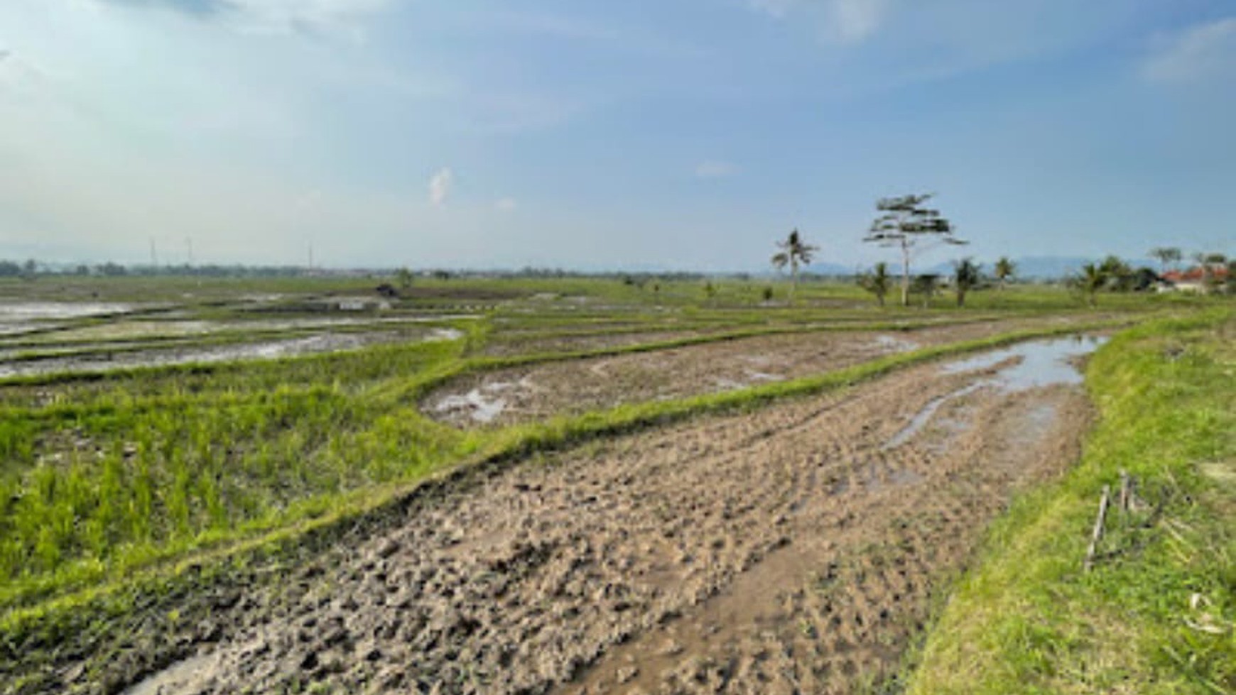 Kaving Siap Bangun di Desa Sukaratu Cianjur