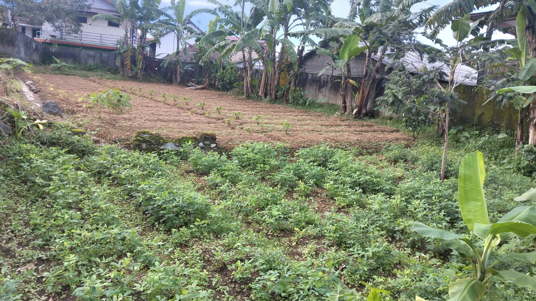 Kavling Siap Bangun dan Kawasan Asri @Gadog, Bogor