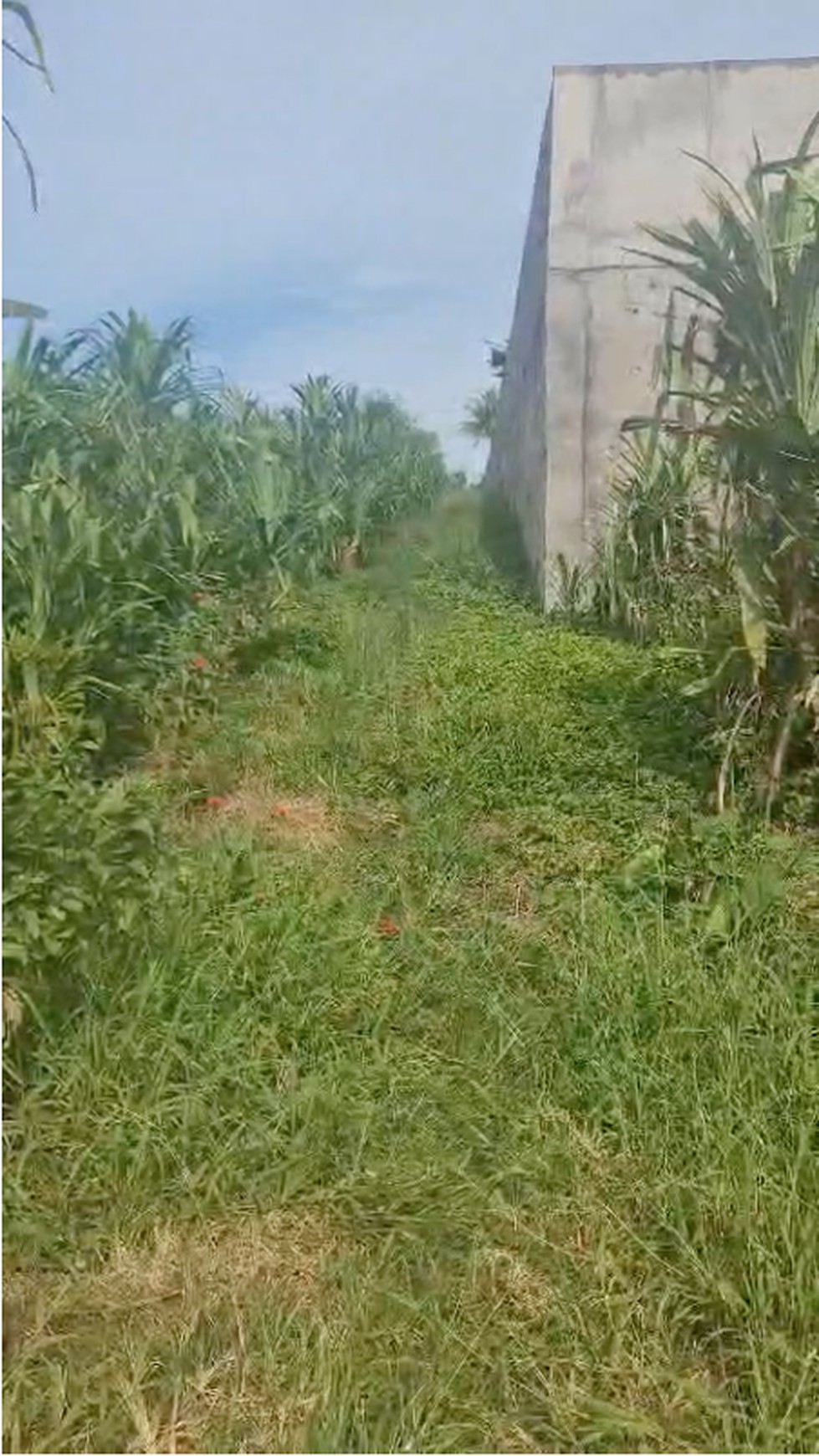 QUICK SALE FREEHOLD LAND IN GREAT LOCATION TEGENUNGAN GIANYAR