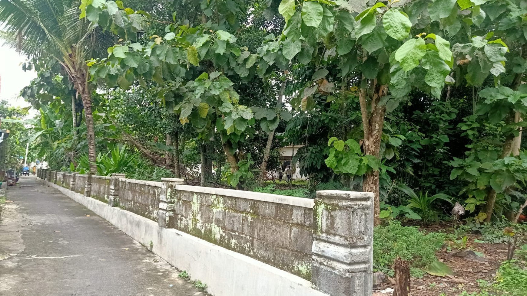  Tanah Pekarangan 300 meter dari Pasar Godean, Sleman