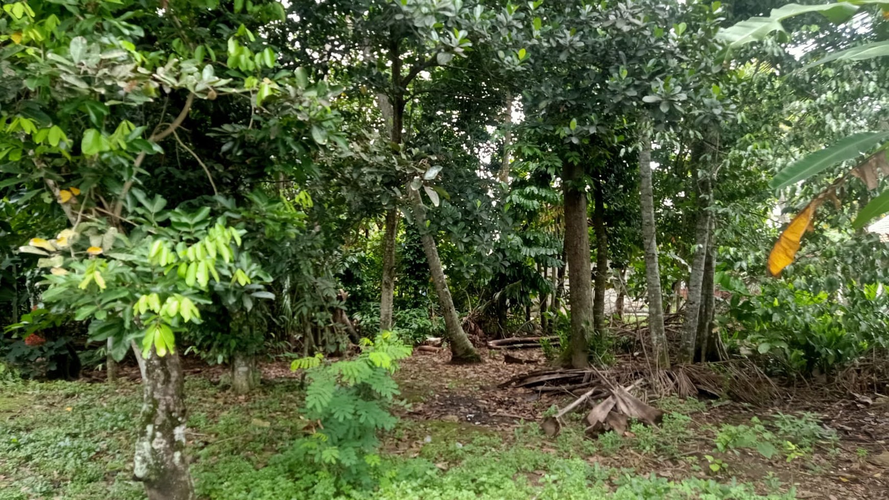  Tanah Pekarangan 300 meter dari Pasar Godean, Sleman