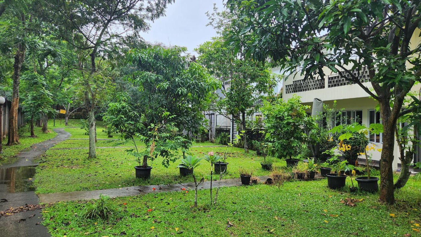 Rumah renovasi Foresta
