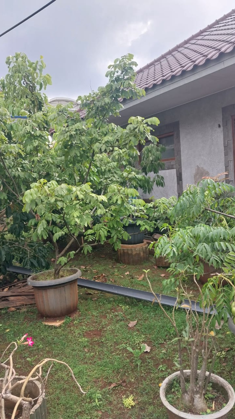 DIJUAL RUMAH TINGGAL SEKALIGUS USAHA KOST2AN