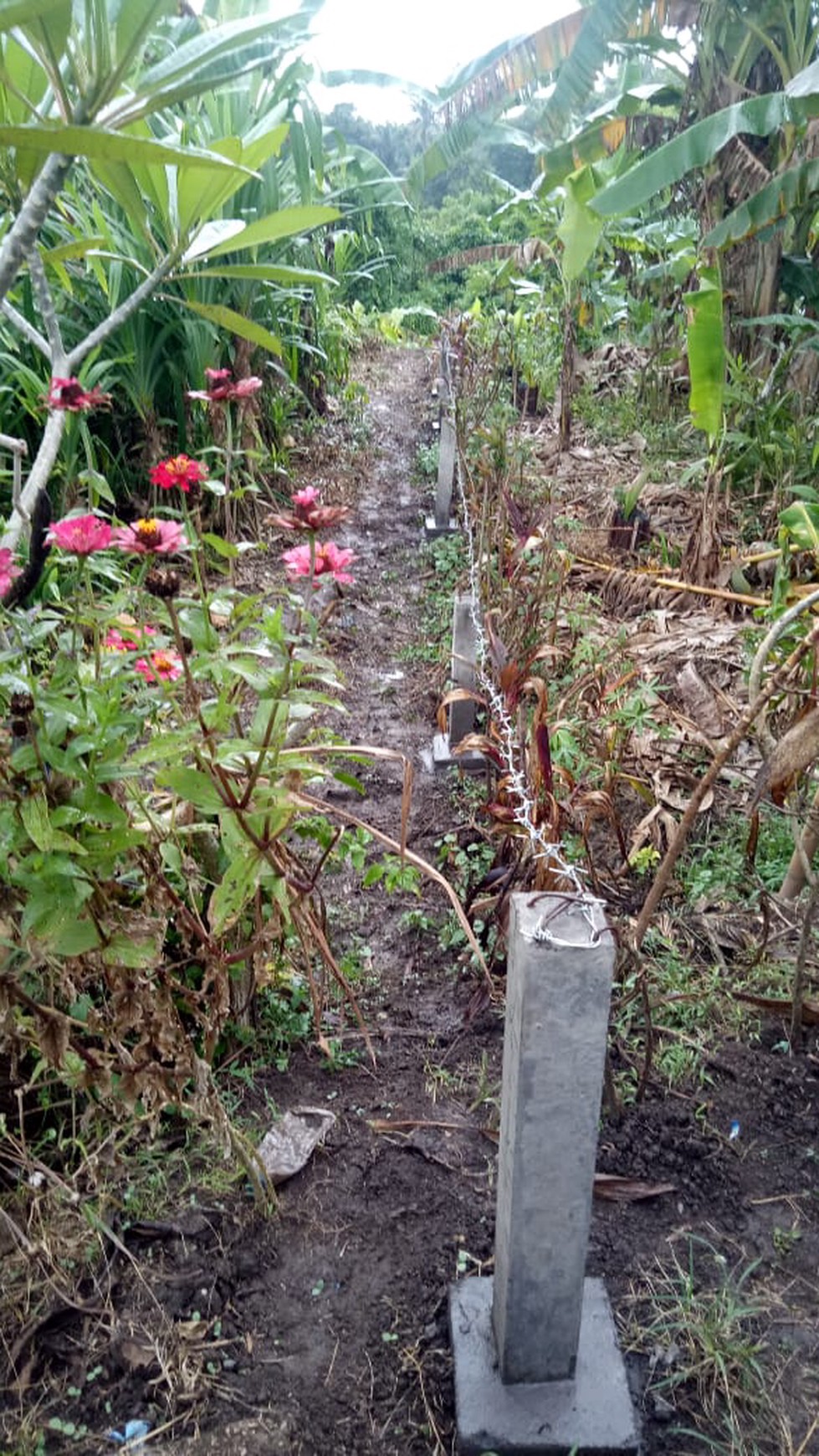 Freehold - Land close to Tegenungan waterfall - Gianyar