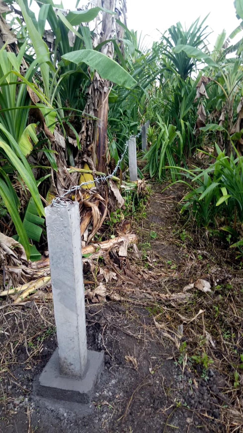 Freehold - Land close to Tegenungan waterfall - Gianyar