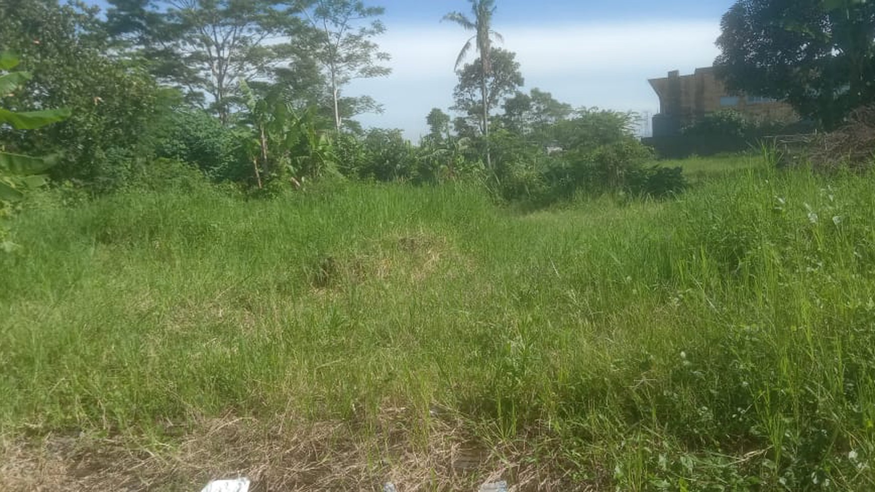 Tanah Sawah SHM Lokasi Strategis Dekat Merapi View Ngaglik Sleman 