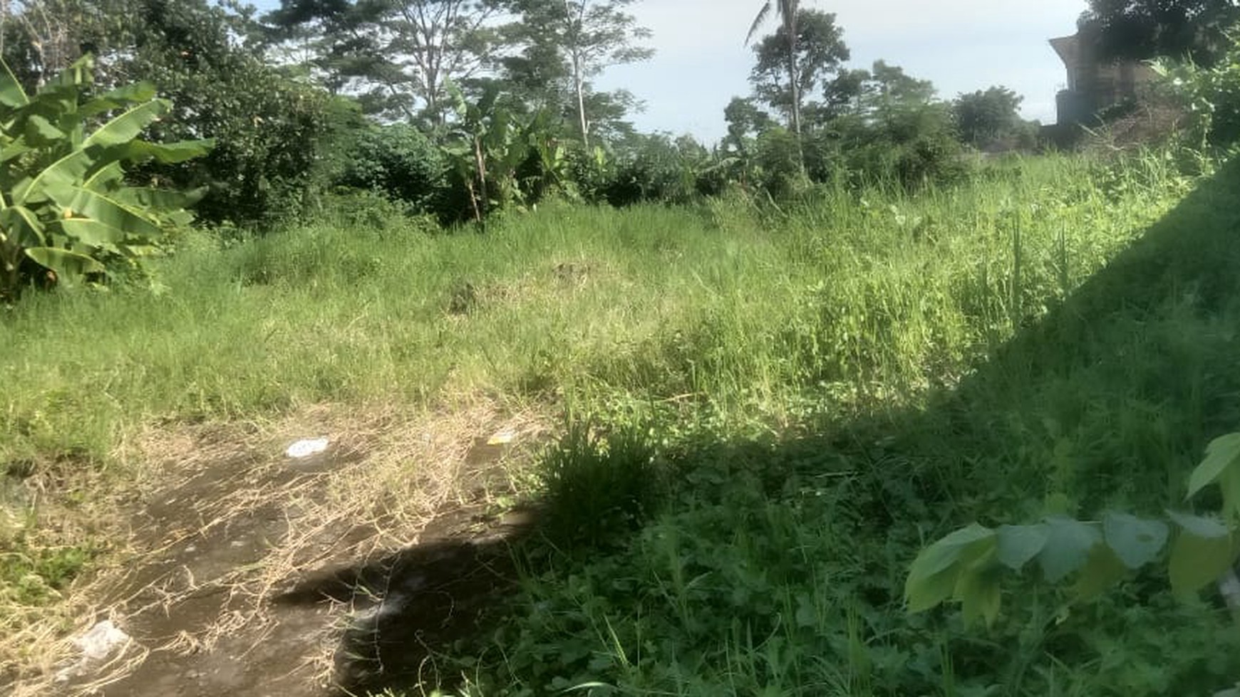 Tanah Sawah SHM Lokasi Strategis Dekat Merapi View Ngaglik Sleman 