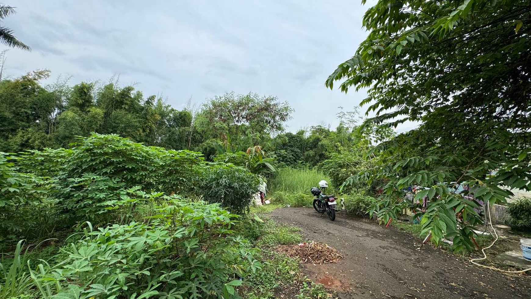 Parung tanah untuk perumahan cluster dekat ciplaz ramayana