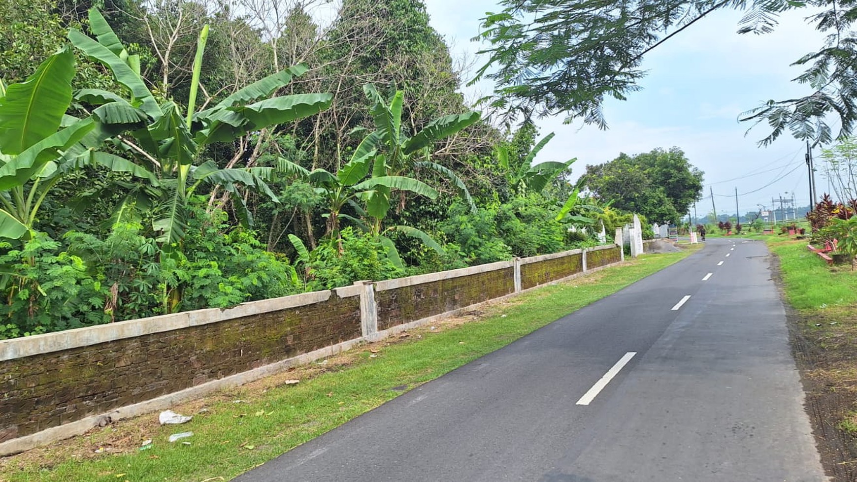 Tanah Luas 2380 Meter Persegi Lokasi Delanggu Klaten 