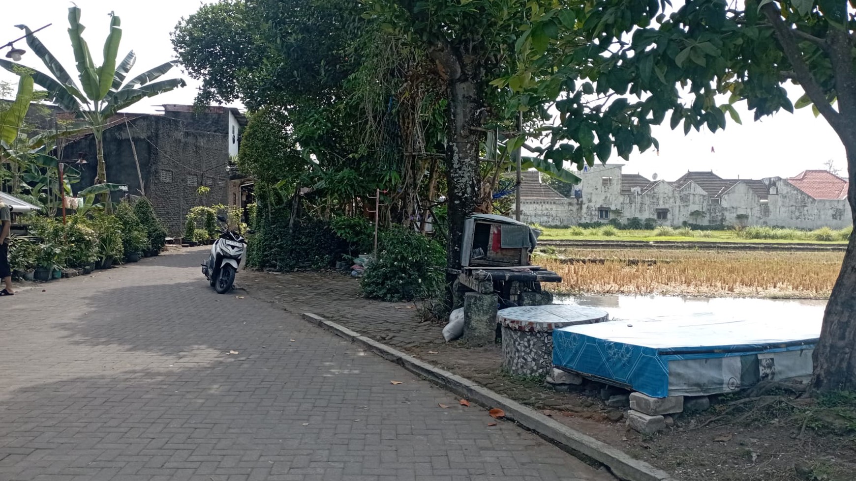 Disewakan Tanah Sawah Luas 2800 Meter Persegi Lokasi Depok Sleman 