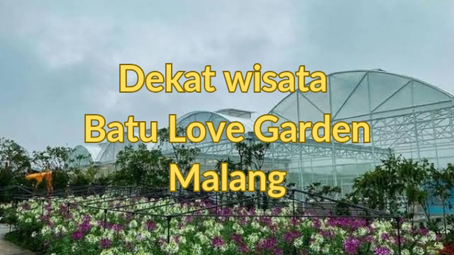 DIJUAL TANAH PERKEBUNAN DI BATU, MALANG, COCOK UNTUK KEBUN BUAH, VILLA  /  Farming Property For Sale in Batu, Malang