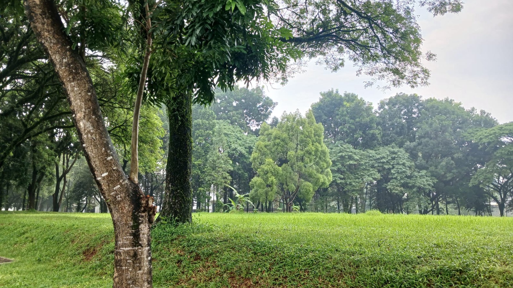 Kavling siap bangun di Bintaro Jaya