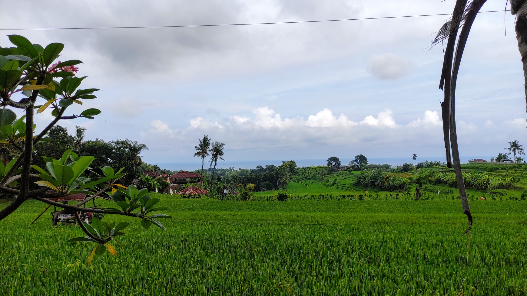 FREEHOLD OCEAN VIEW LAND IN LOVINA