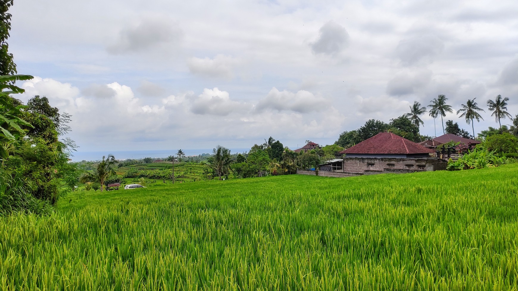 FREEHOLD OCEAN VIEW LAND IN LOVINA