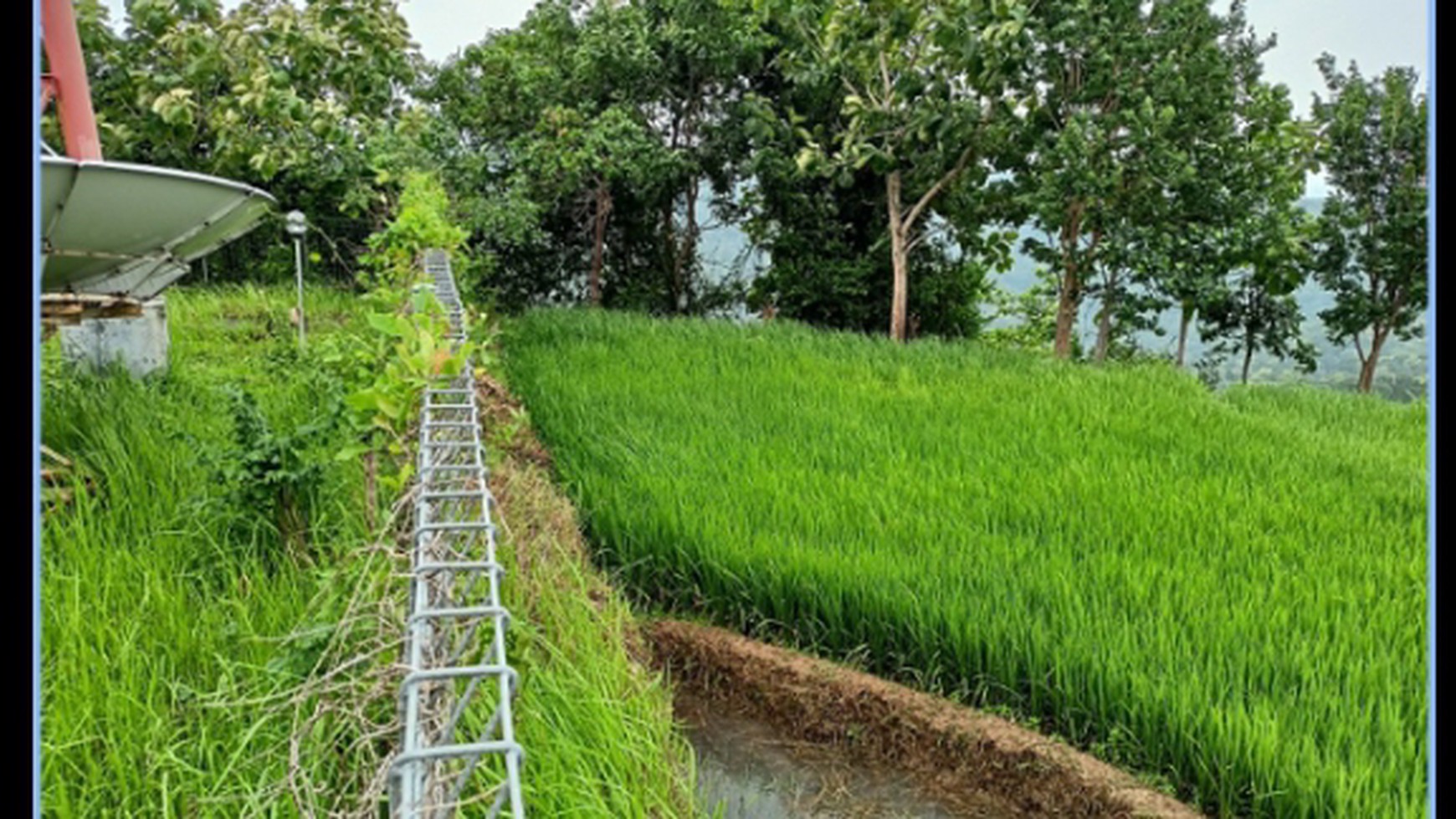 Tanah Luas 1612 Meter Persegi Lokasi Patuk Gunung Kidul 