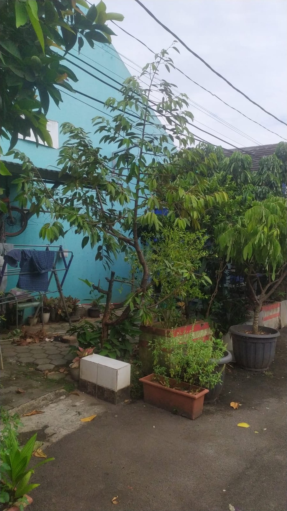 Rumah Hook dalam Cluster dengan Lingkungan Asri @Setu