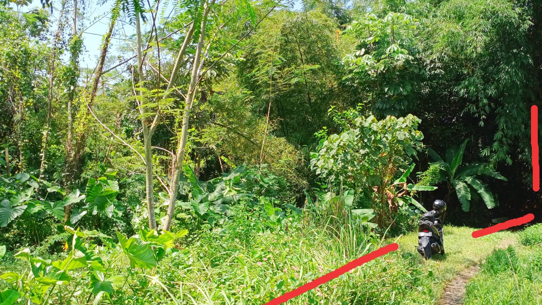 Tanah Sawah Luas 4400 Meter Persegi Lokasi Dawung Tegalrejo Magelang