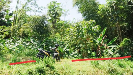 Tanah Sawah Luas 4400 Meter Persegi Lokasi Dawung Tegalrejo Magelang 