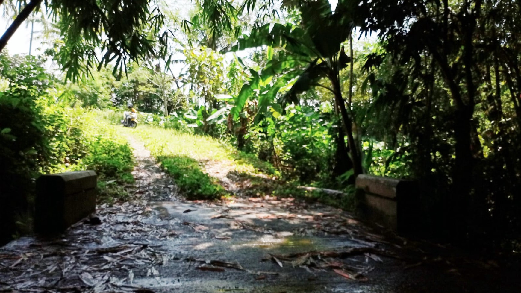 Tanah Sawah Luas 4400 Meter Persegi Lokasi Dawung Tegalrejo Magelang